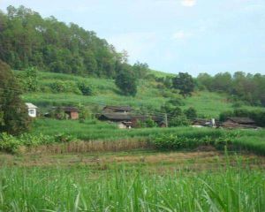 下塘坡自然村 下塘坡自然村