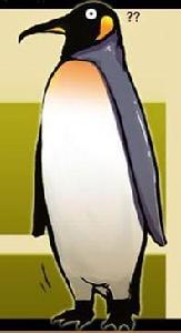 coco[漫畫屍兄中的角色]