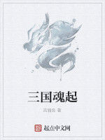 三國魂起 三國魂起