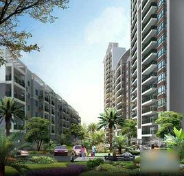 桂景花城 桂景花城