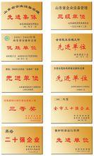 山東海科化工集團