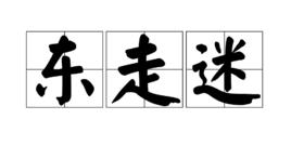 東走迷[漢語辭彙]