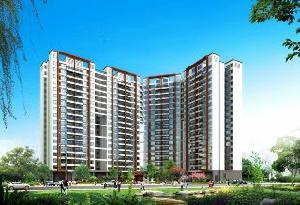 大自然廣場 大自然廣場