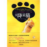 《天降呆貓》