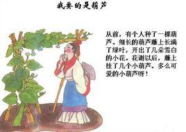 我要的是葫蘆 我要的是葫蘆