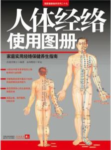 人體經絡使用圖冊 人體經絡使用圖冊