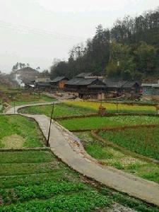 上坡營村 上坡營村