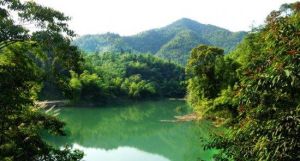 沙洲森林公園 沙洲森林公園