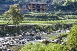 胡家灣苗族土家族鄉 胡家灣苗族土家族鄉