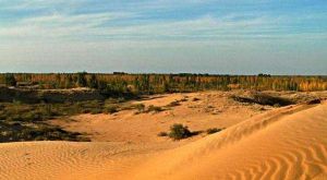 恩格貝生態旅遊區