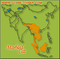 紋貓的亞種和分布區域圖