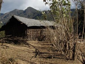黃草坡自然村 黃草坡自然村