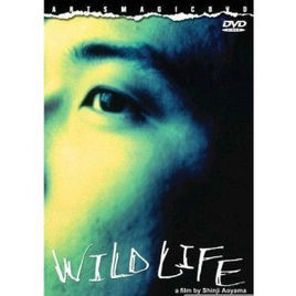 狂野的生活 狂野的生活