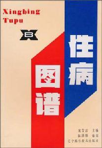 性病圖譜 性病圖譜