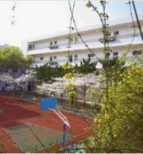 湖北藝術職業學院 湖北藝術職業學院