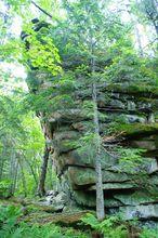 大黑頂山森林公園風光