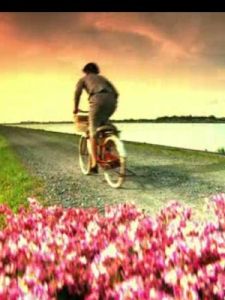 《被嫌棄的松子的一生》 《被嫌棄的松子的一生》