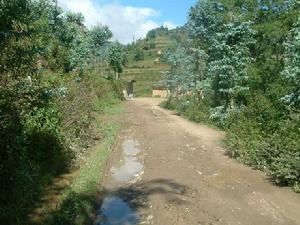 饒家村發展重點-進村道路未硬化