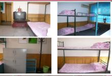 派多格寵物美容學校