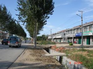 雙柳樹村 雙柳樹村