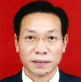 陳智[重慶市工商聯黨組成員、副主席]