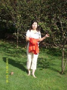 孫曉輝[中國註冊會計師，講師]