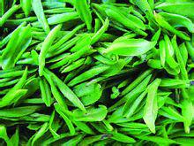 茶[中國傳統飲品]