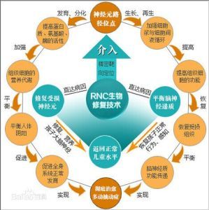 RNC生物修復技術