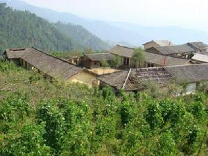 核桃坪自然村[果珠彝族鄉果珠村委會下轄自然村]