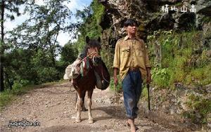 情比山高[2016年王藝執導的愛情電影]