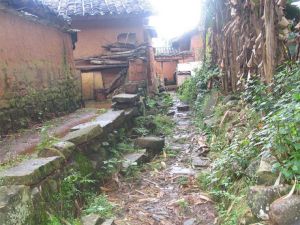 岩子根自然村 岩子根自然村