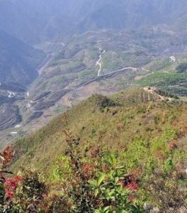 老鷹岩村 老鷹岩村