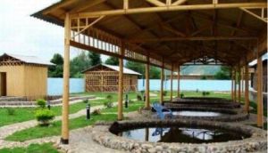 新泉小魚溫泉度假村 新泉小魚溫泉度假村