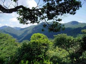 三百山溫泉景區 三百山溫泉景區