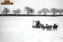 和格陵蘭島的狗一起旅行