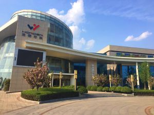 中偉鋼物聯發展有限公司 中偉鋼物聯發展有限公司