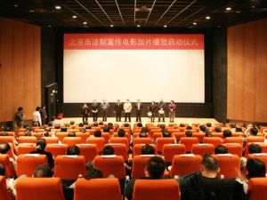 北京盛世嘉景影視文化傳播有限公司