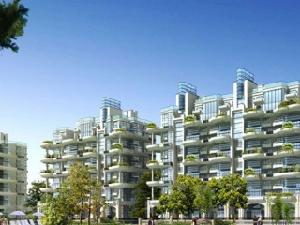 棲霞楓情水岸 棲霞楓情水岸