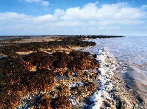 東灶蠣岈山 東灶蠣岈山