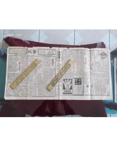 《奮報》 《奮報》