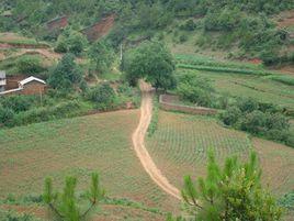 二道灣村[黑龍江省富裕縣下屬村]