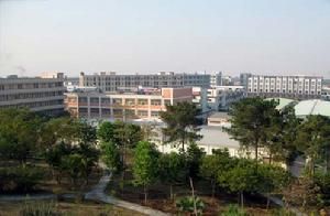 牛楊社區 牛楊社區