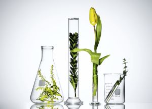 原液理膚品 原液理膚品