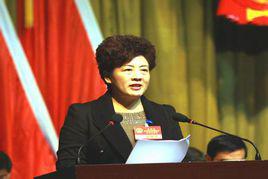 張秀萍[安徽省舒城縣委副書記、縣長]