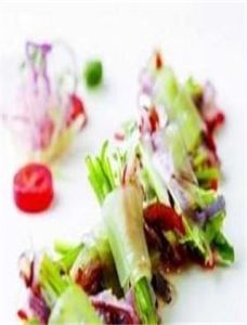 柴把綿蜇 柴把綿蜇