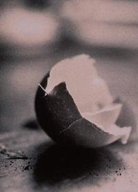 我的高中生涯 我的高中生涯