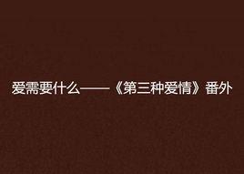 愛需要什麼——第三種愛情番外