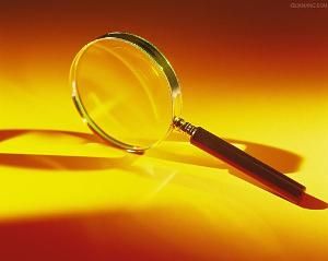 鑑定意見 鑑定意見