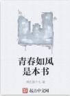 青春如風是本書 青春如風是本書