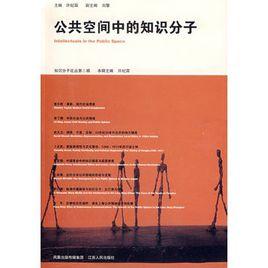 公共空間中的知識分子 公共空間中的知識分子